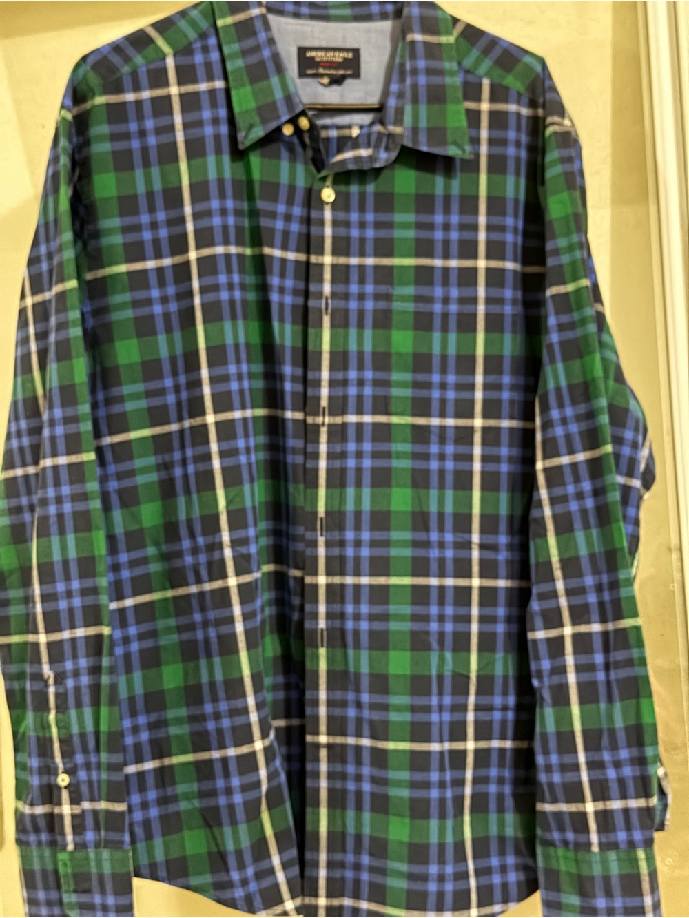 American Eagle Outfitters Blue & Green Plaid Button-Down Shirt